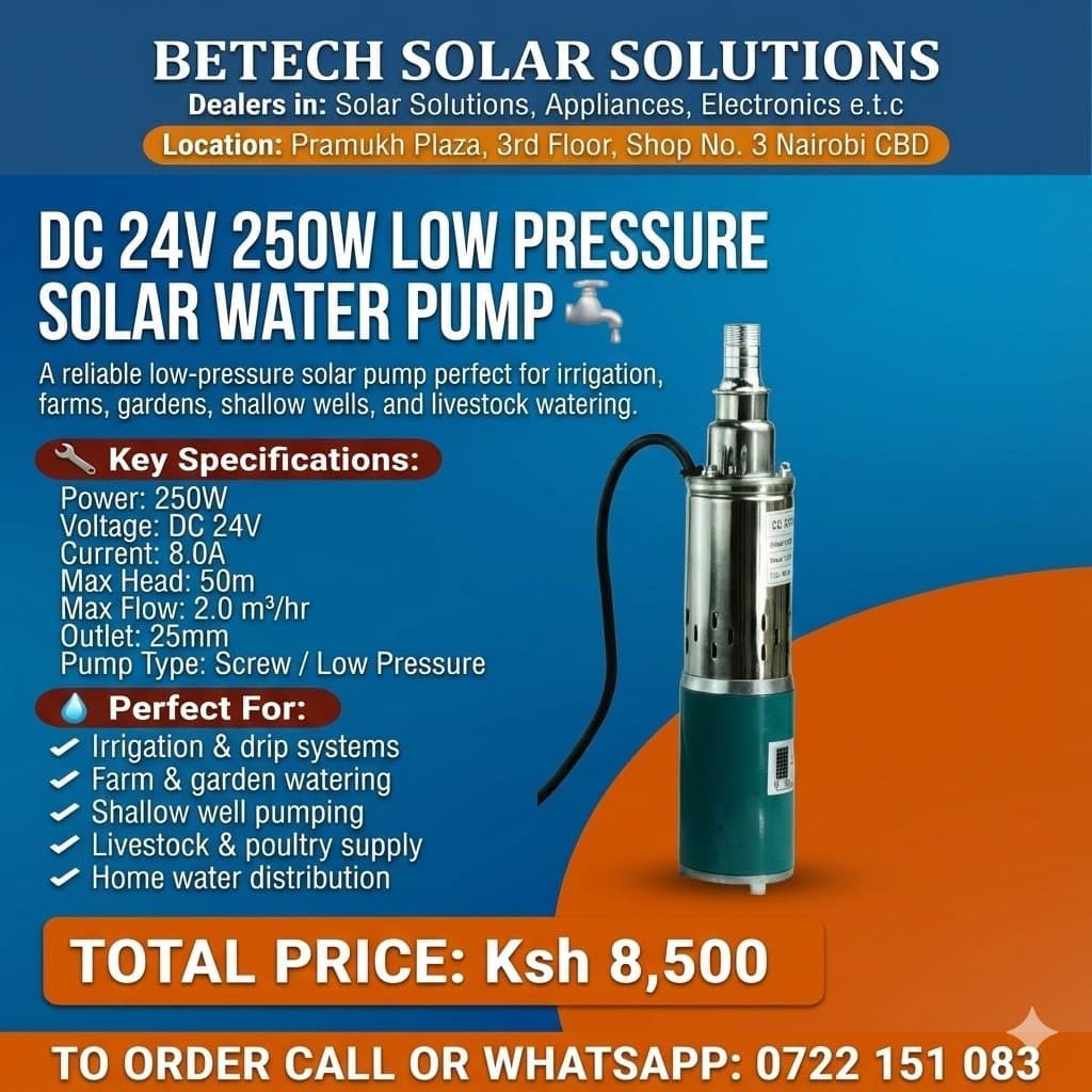 DC 24V 250W Low Pressure Solar Water Pump – 2.0 m³/hr, 50M Head, Screw Pump for Irrigation & Wells